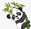 麦兜直播工具下载官网APP应用